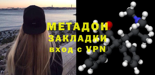 прущие грибы Елизово
