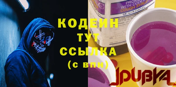 apvp Ельня