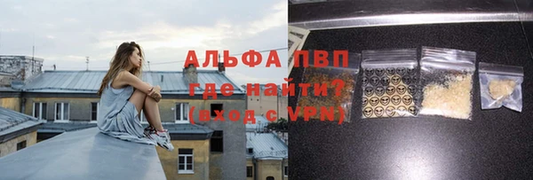прущие грибы Елизово