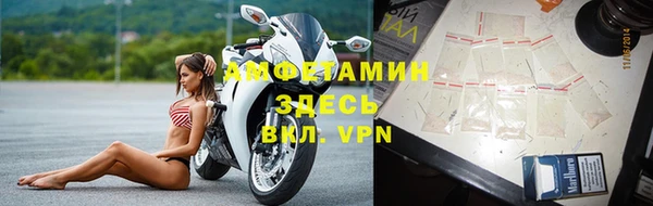 прущие грибы Елизово