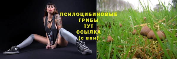 кокаин перу Елабуга