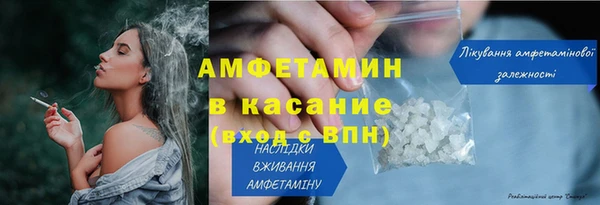прущие грибы Елизово