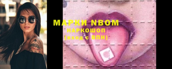 прущие грибы Елизово