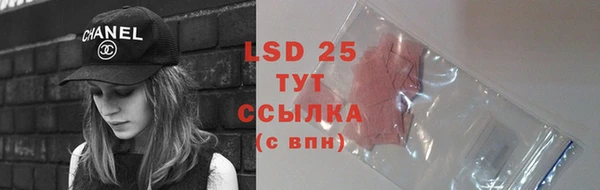 прущие грибы Елизово