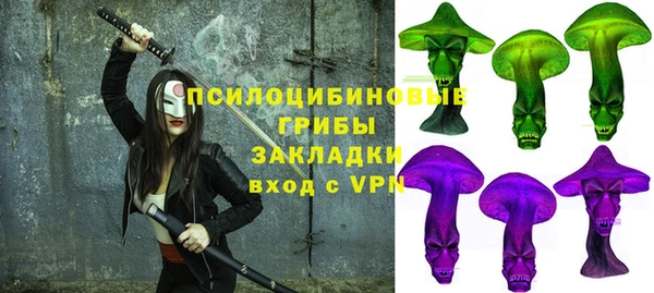 apvp Ельня