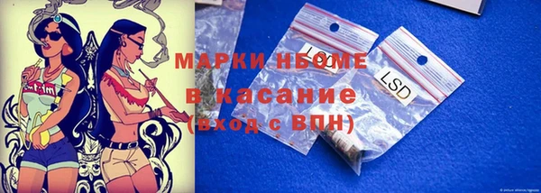 прущие грибы Елизово