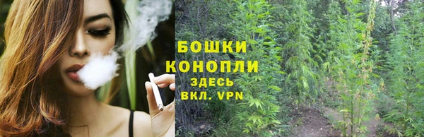 apvp Ельня