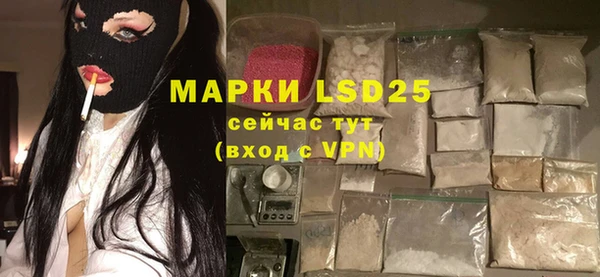 прущие грибы Елизово