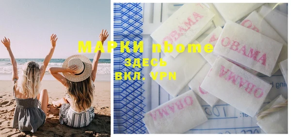 apvp Ельня
