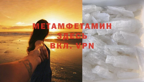 прущие грибы Елизово