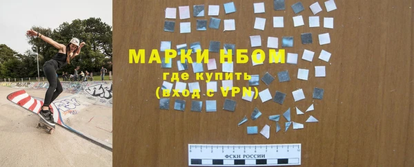 прущие грибы Елизово
